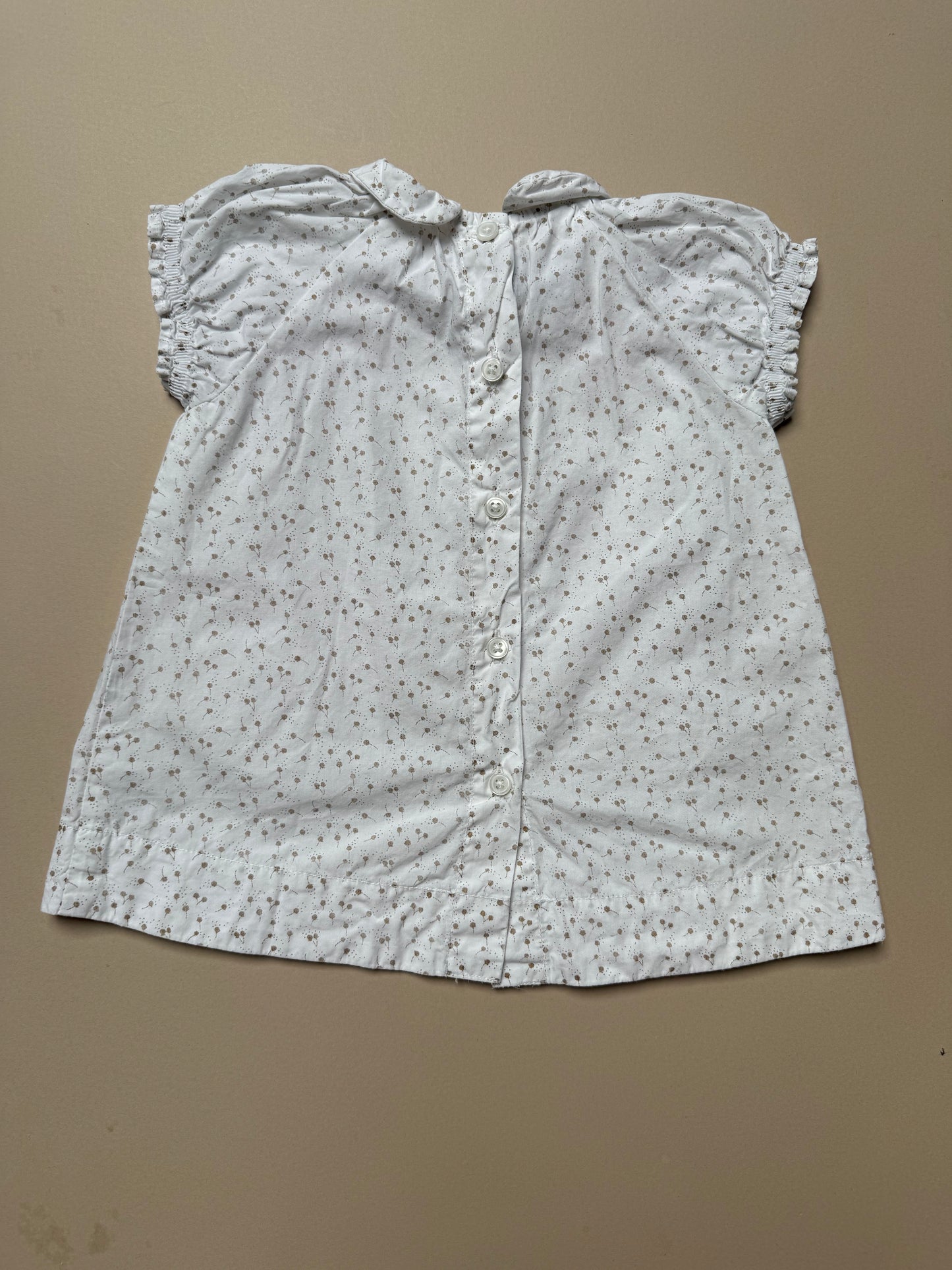 Petit Bateau Cotton Peter Pan Collar Dress in 3-6 Months