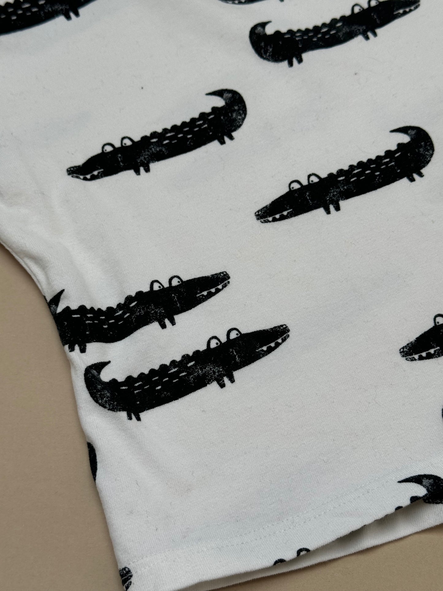 Next Crocodile Long Sleeved T-Shirt in 3-6 Months