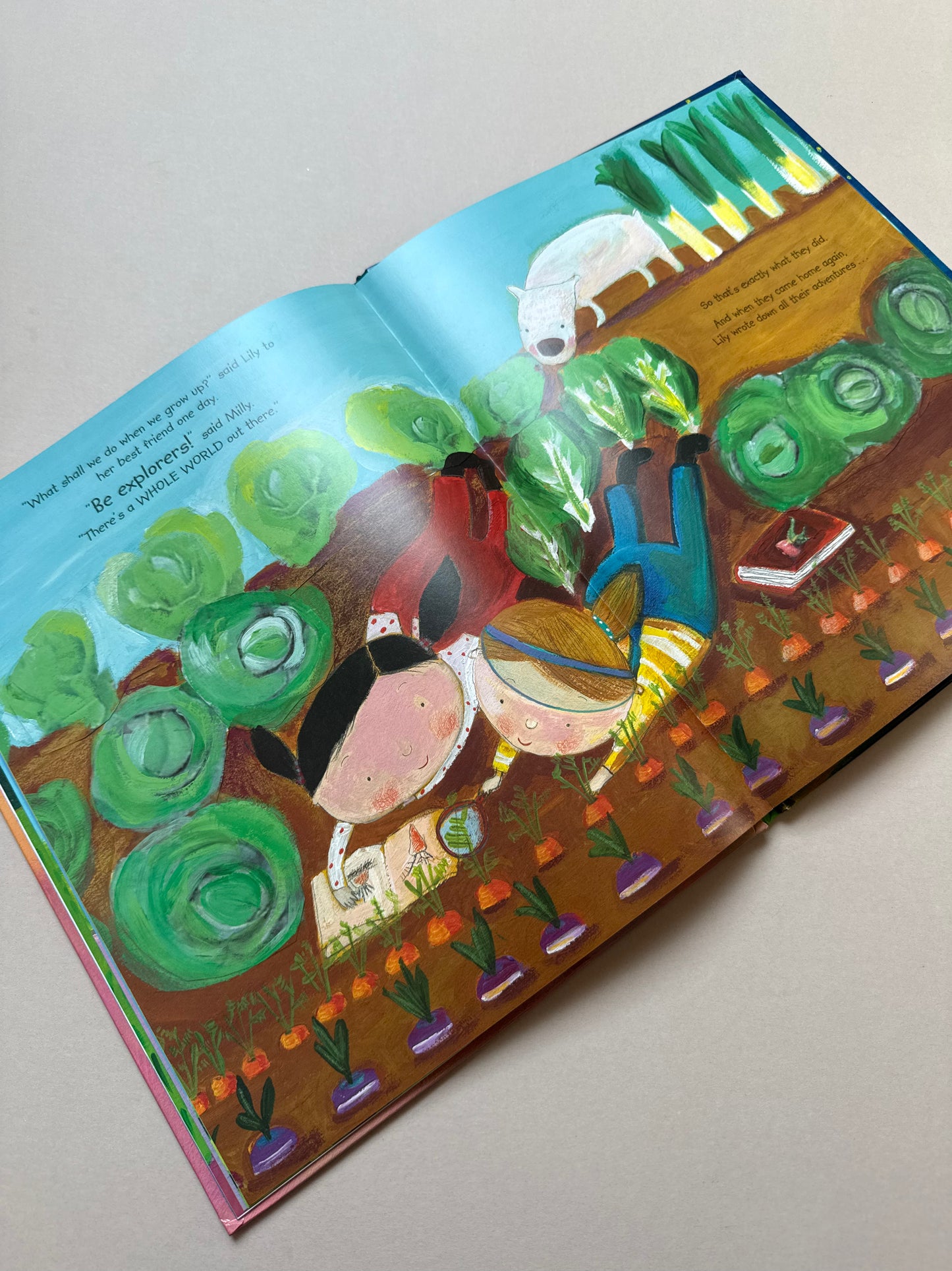 Library Lily Hardback Book By Gillian Shields