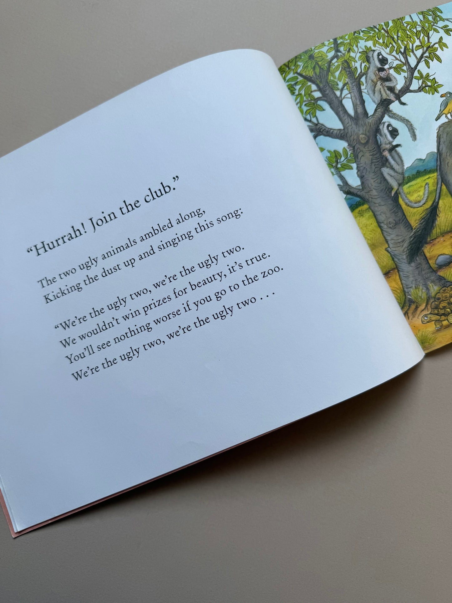 The Ugly Five Paperback Book By Julia Donaldson