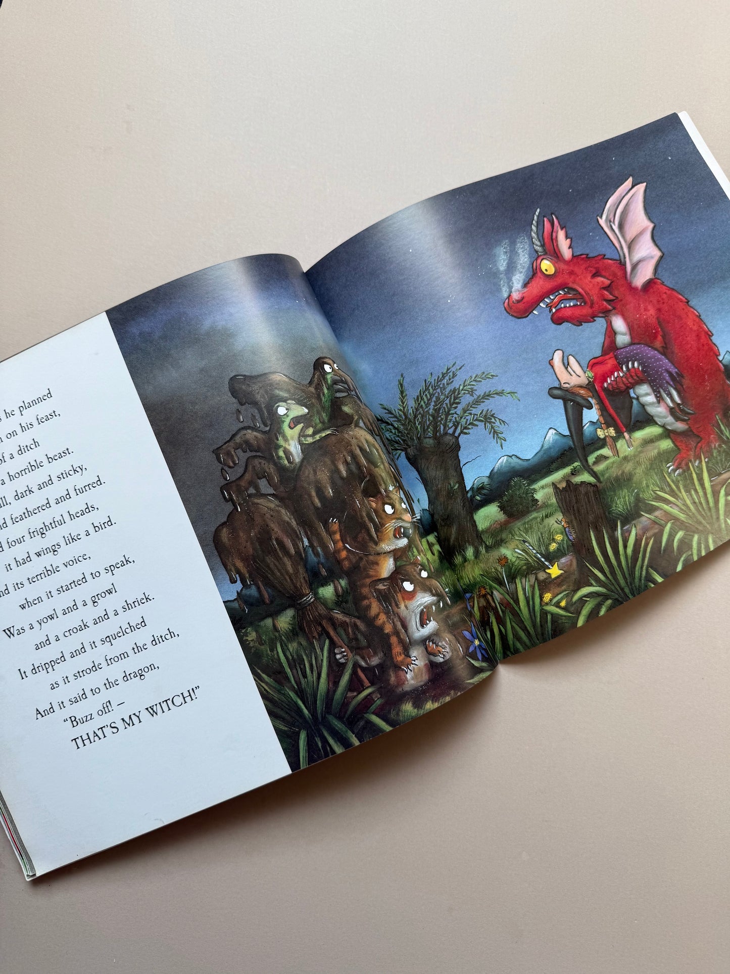 Room on the Broom Paperback Book By Julia Donaldson