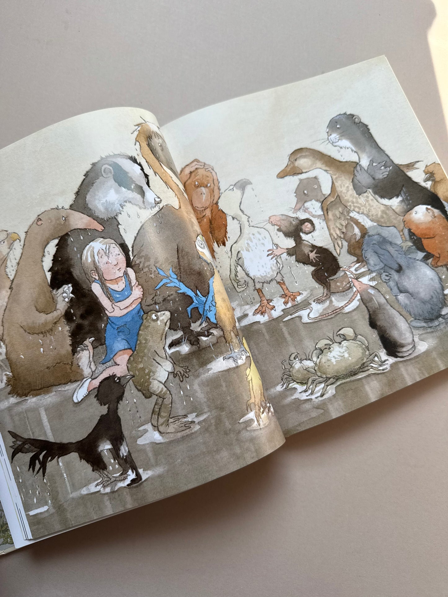 Alice in Wonderland Hardback Book By Lewis Carroll