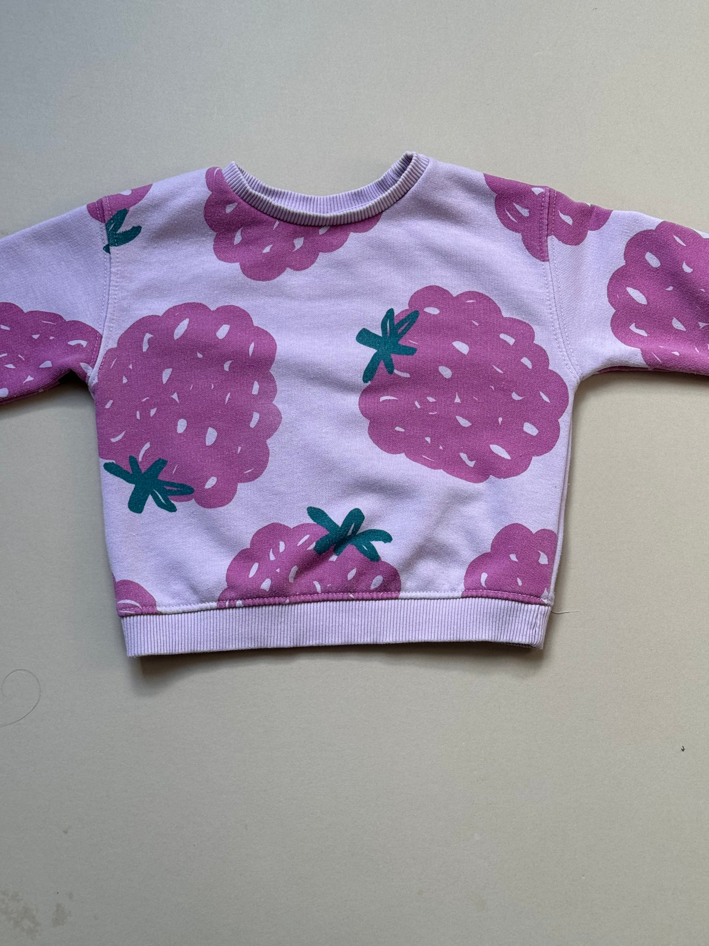 Zara Raspberry Printed Sweat Top in 9-12 Months