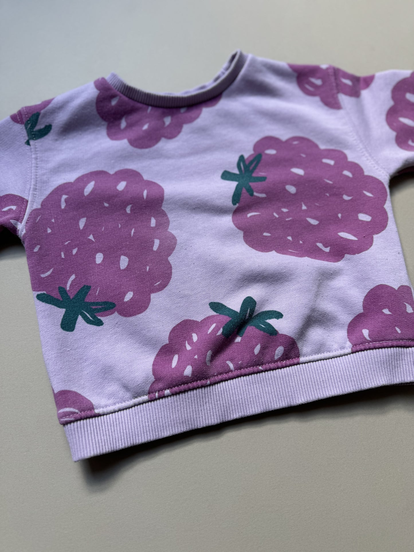 Zara Raspberry Printed Sweat Top in 9-12 Months