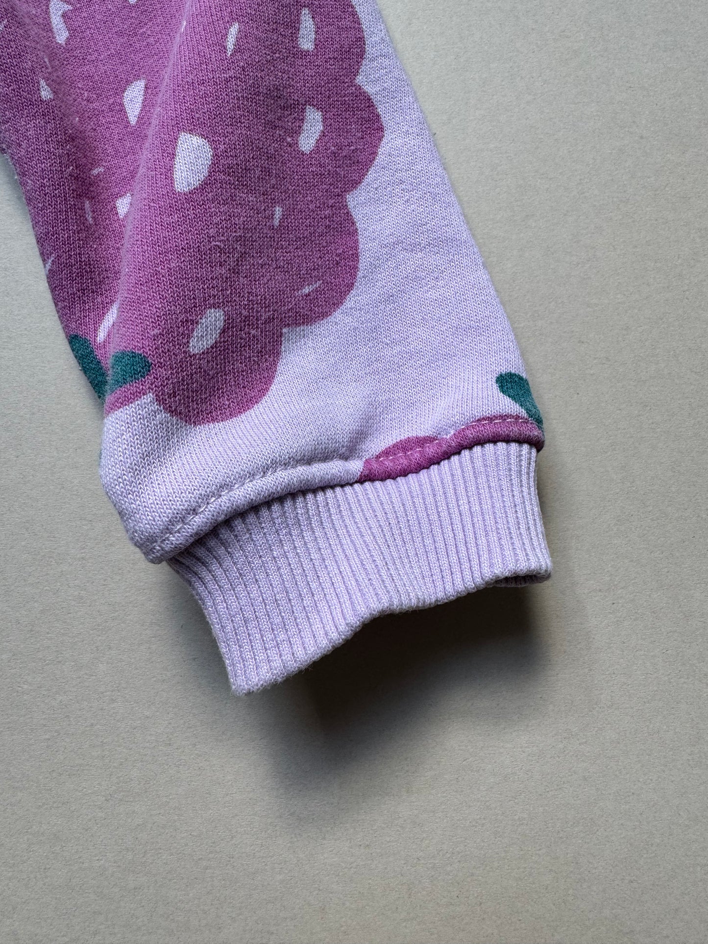 Zara Raspberry Printed Sweat Top in 9-12 Months