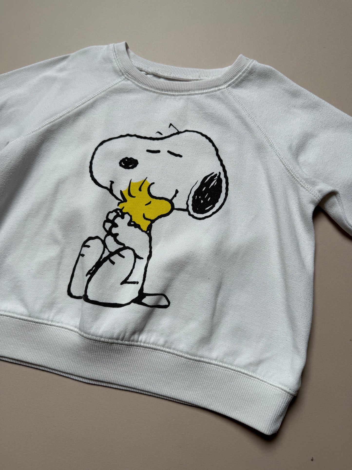 Next Snoopy Sweat Top in 7 Years