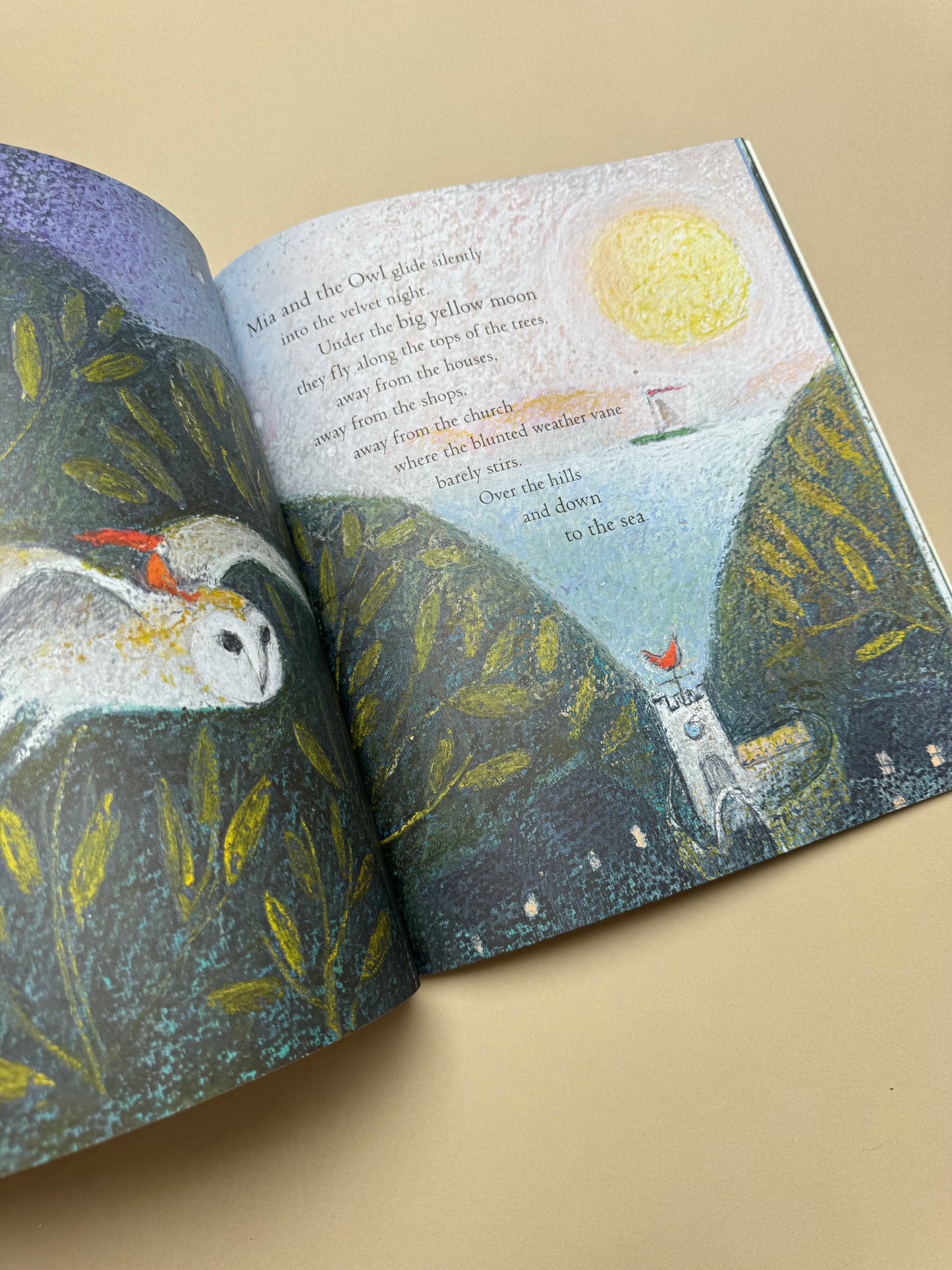 The Star Tree Paperback By Cathrine Hyde