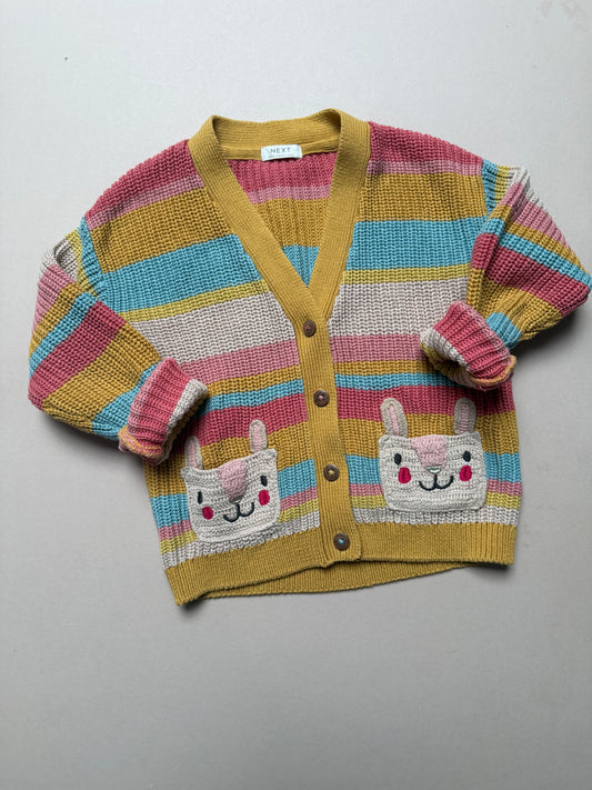 Next Rainbow Striped Cardigan With Llama Pockets in 2-3 Years