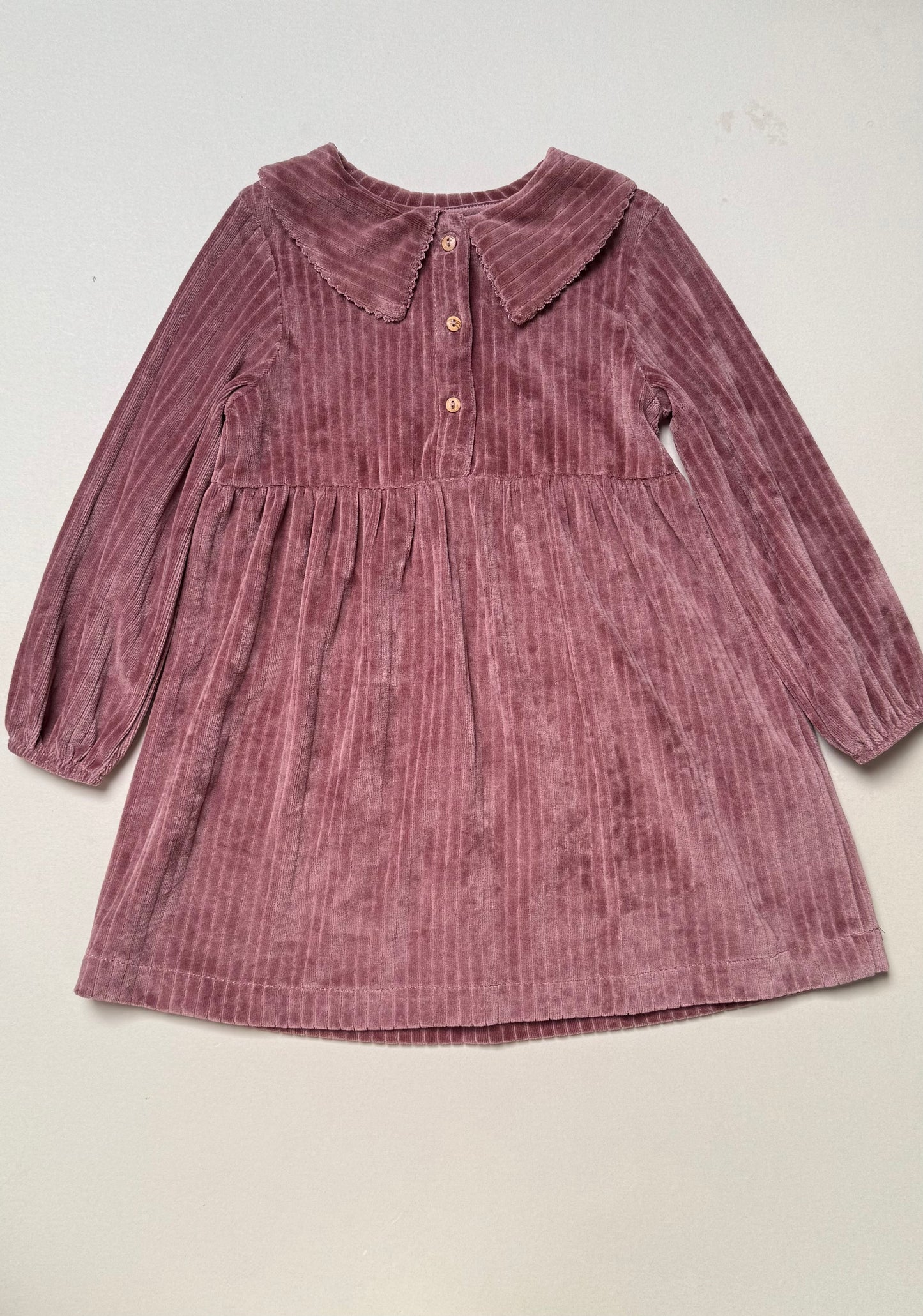 Zara Berry Long Sleeved Velour Dress With Peter Pan Collar in 2-3 Years