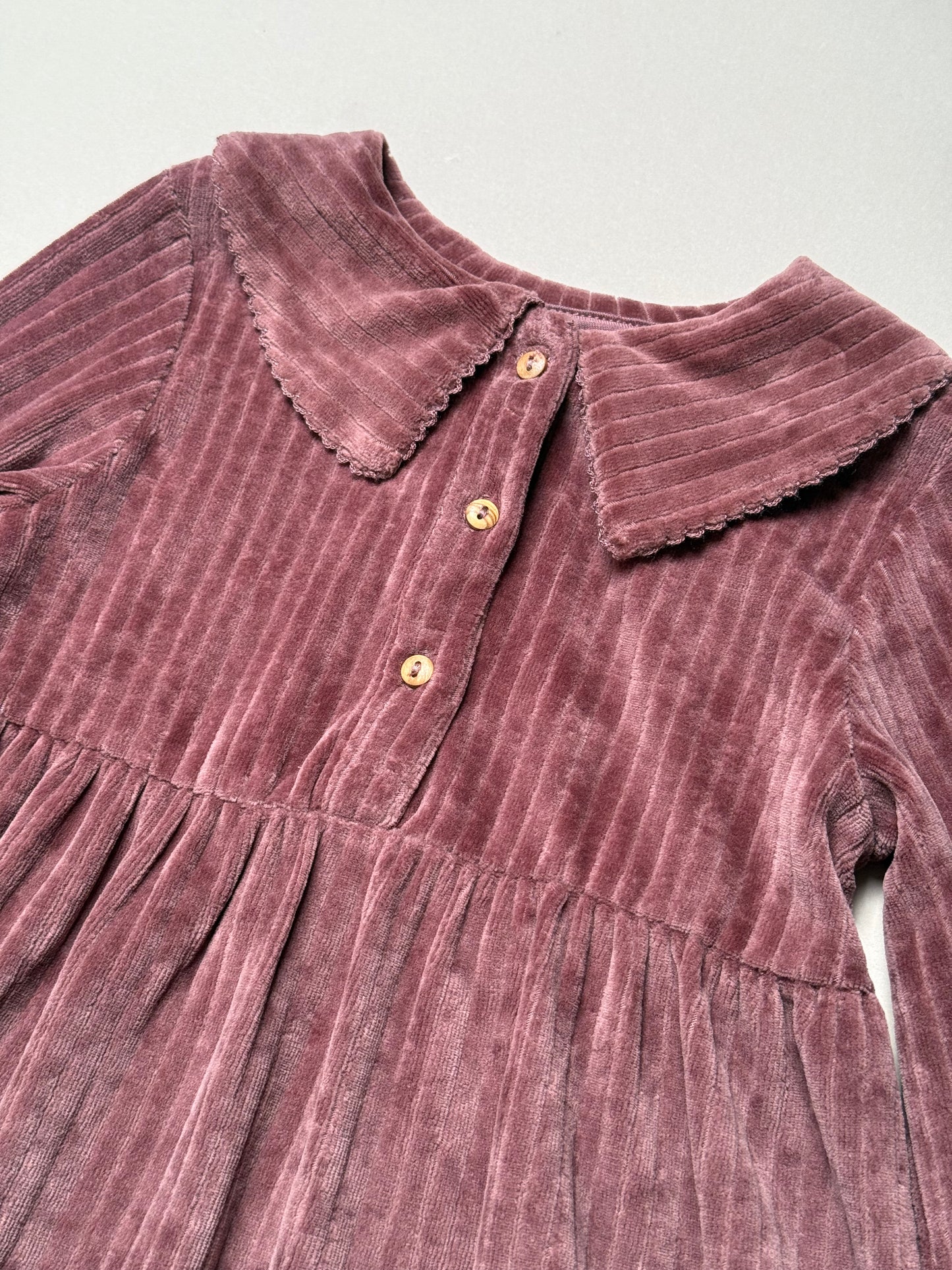 Zara Berry Long Sleeved Velour Dress With Peter Pan Collar in 2-3 Years