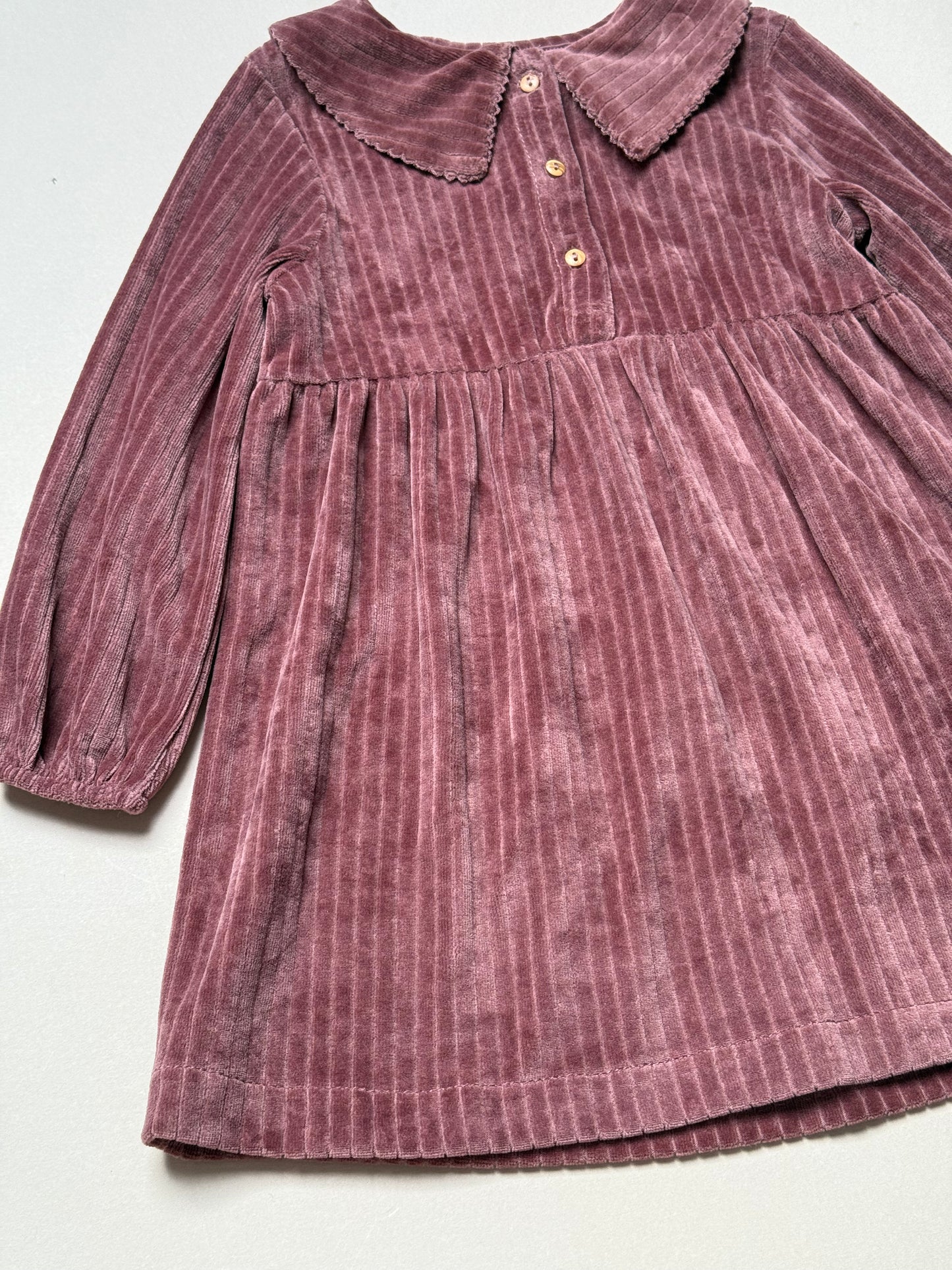 Zara Berry Long Sleeved Velour Dress With Peter Pan Collar in 2-3 Years