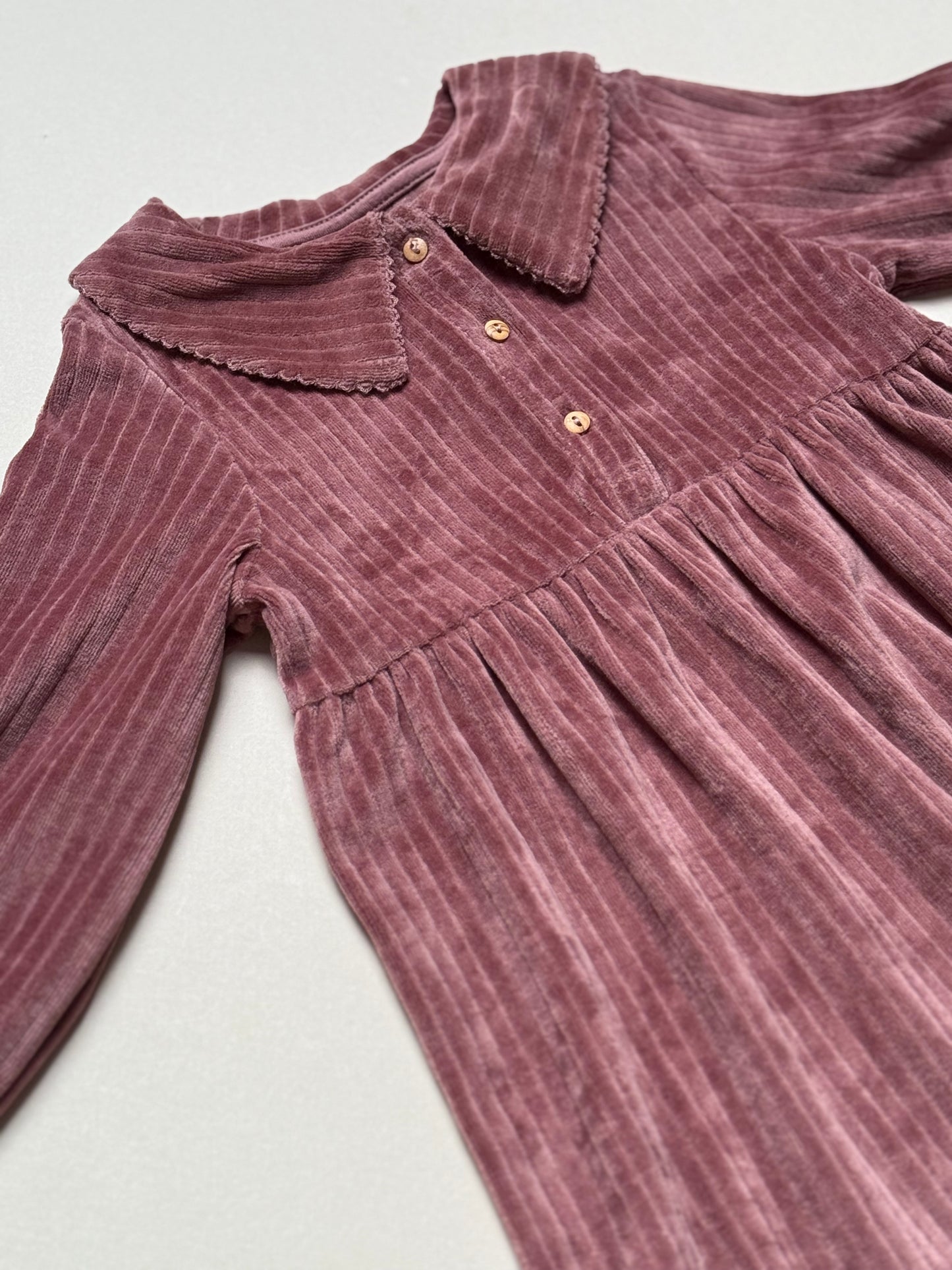 Zara Berry Long Sleeved Velour Dress With Peter Pan Collar in 2-3 Years