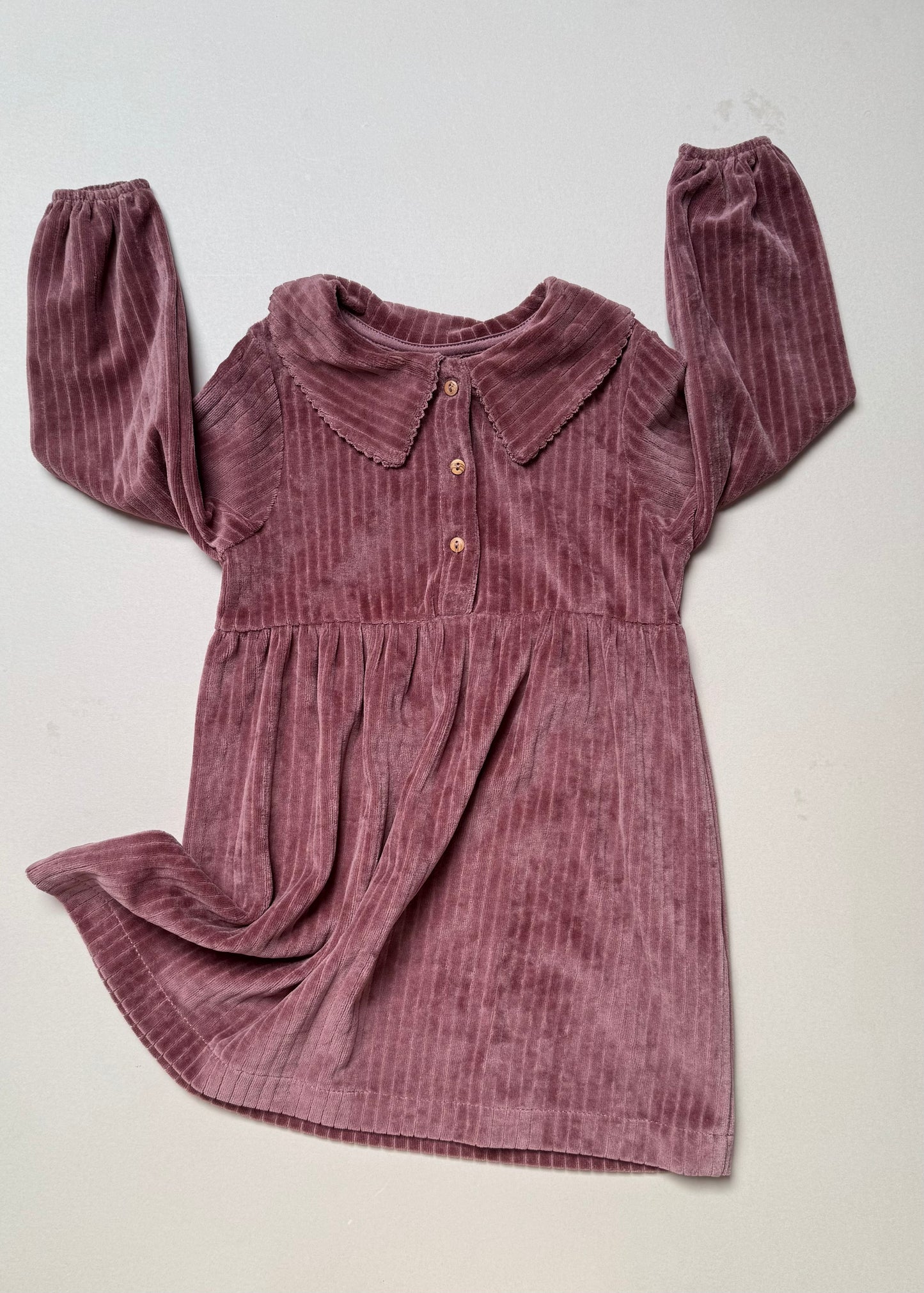 Zara Berry Long Sleeved Velour Dress With Peter Pan Collar in 2-3 Years