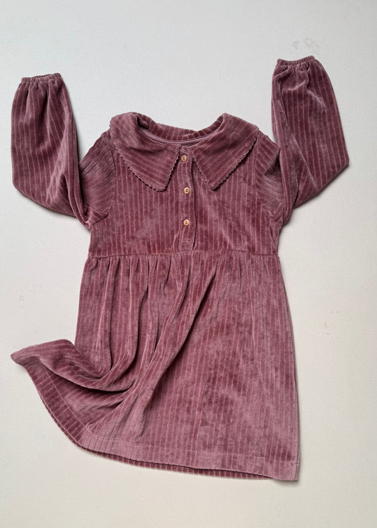 Zara Berry Long Sleeved Velour Dress With Peter Pan Collar in 2-3 Years