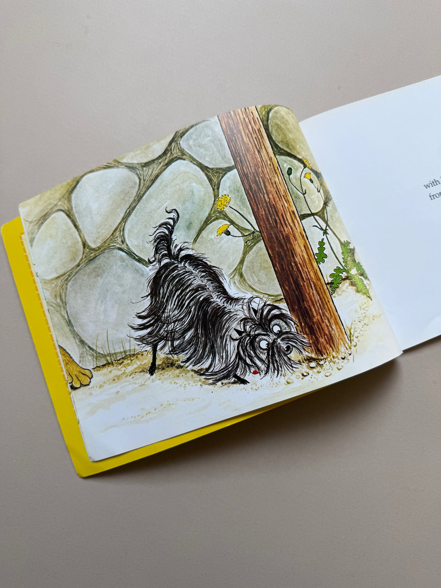 Hairy Maclary From Donaldson's Dairy By Lynley Dodd Paperback Book