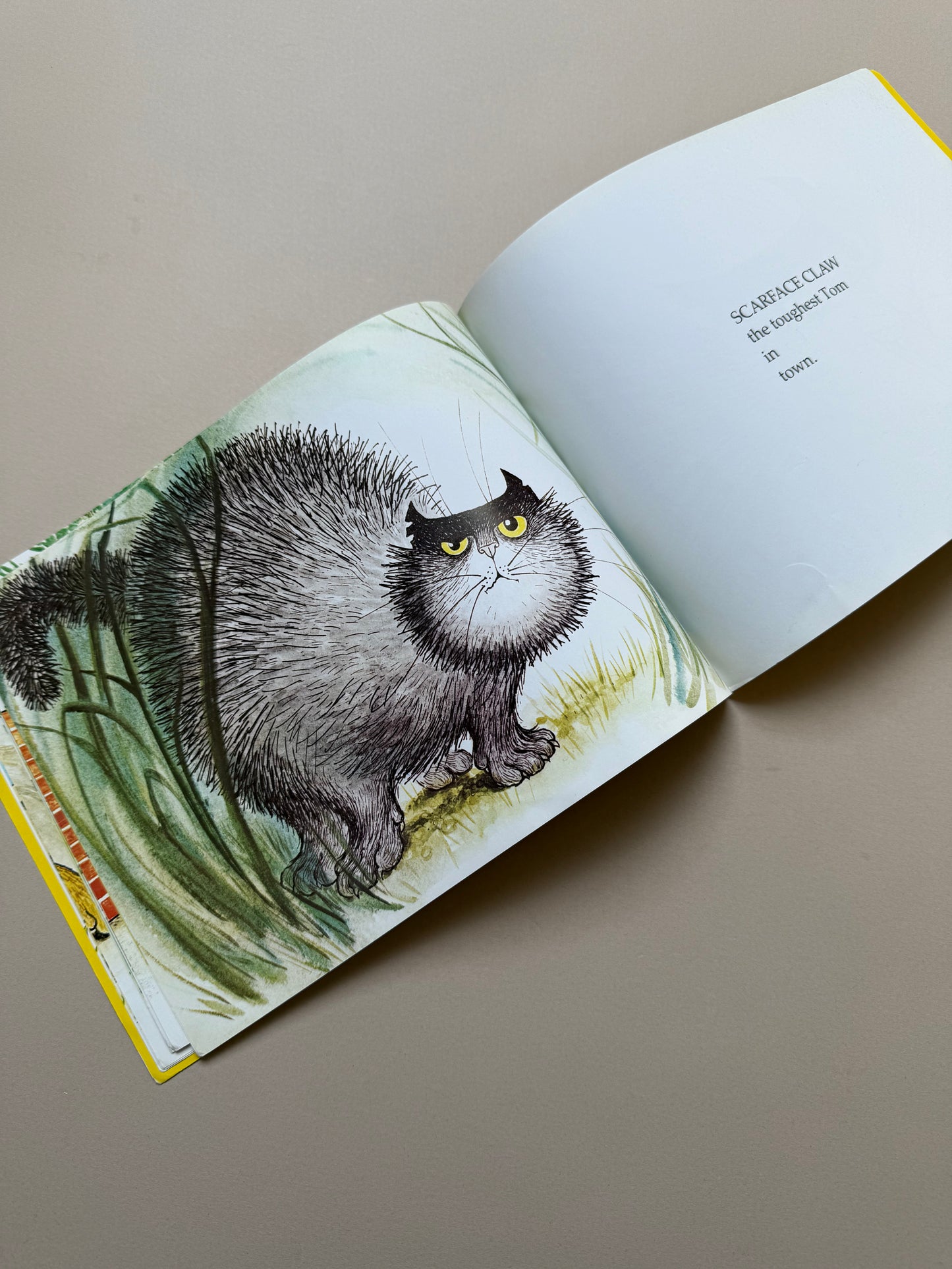 Hairy Maclary From Donaldson's Dairy By Lynley Dodd Paperback Book