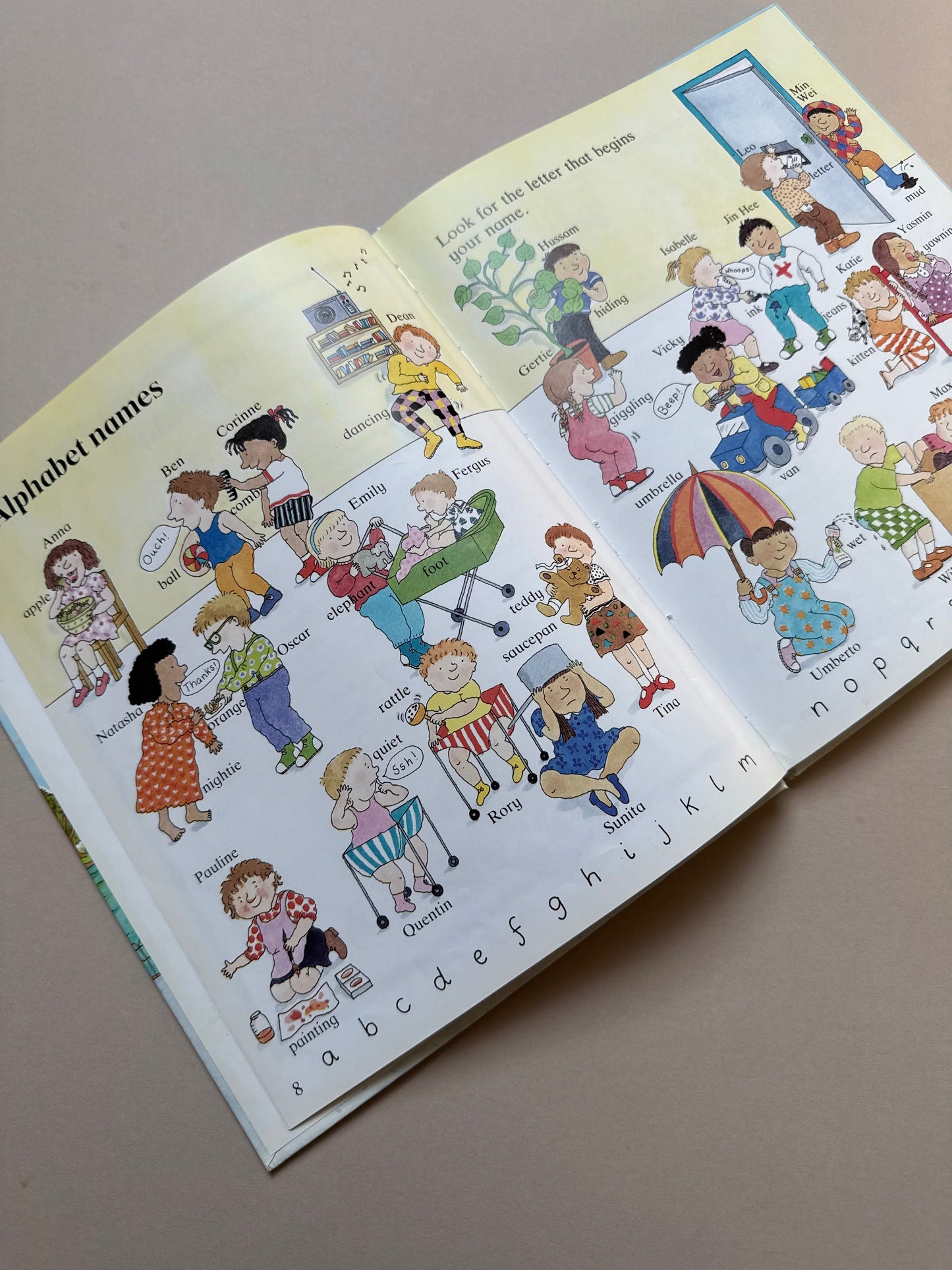 The Kingfisher Picture Word Book By Jane Salt Hardback Book