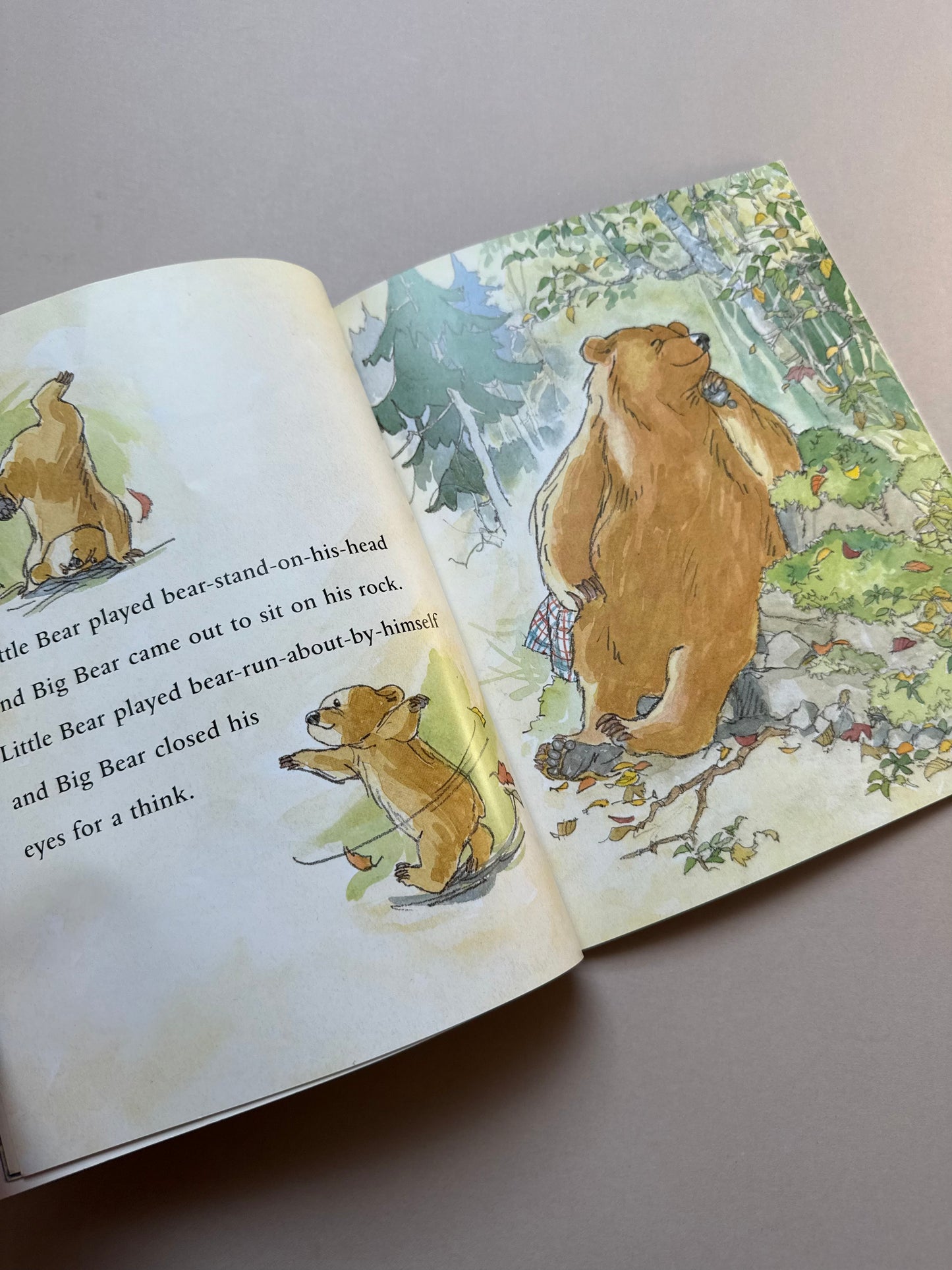 You & Me, Little Bear By Martin Waddell Paperback Book