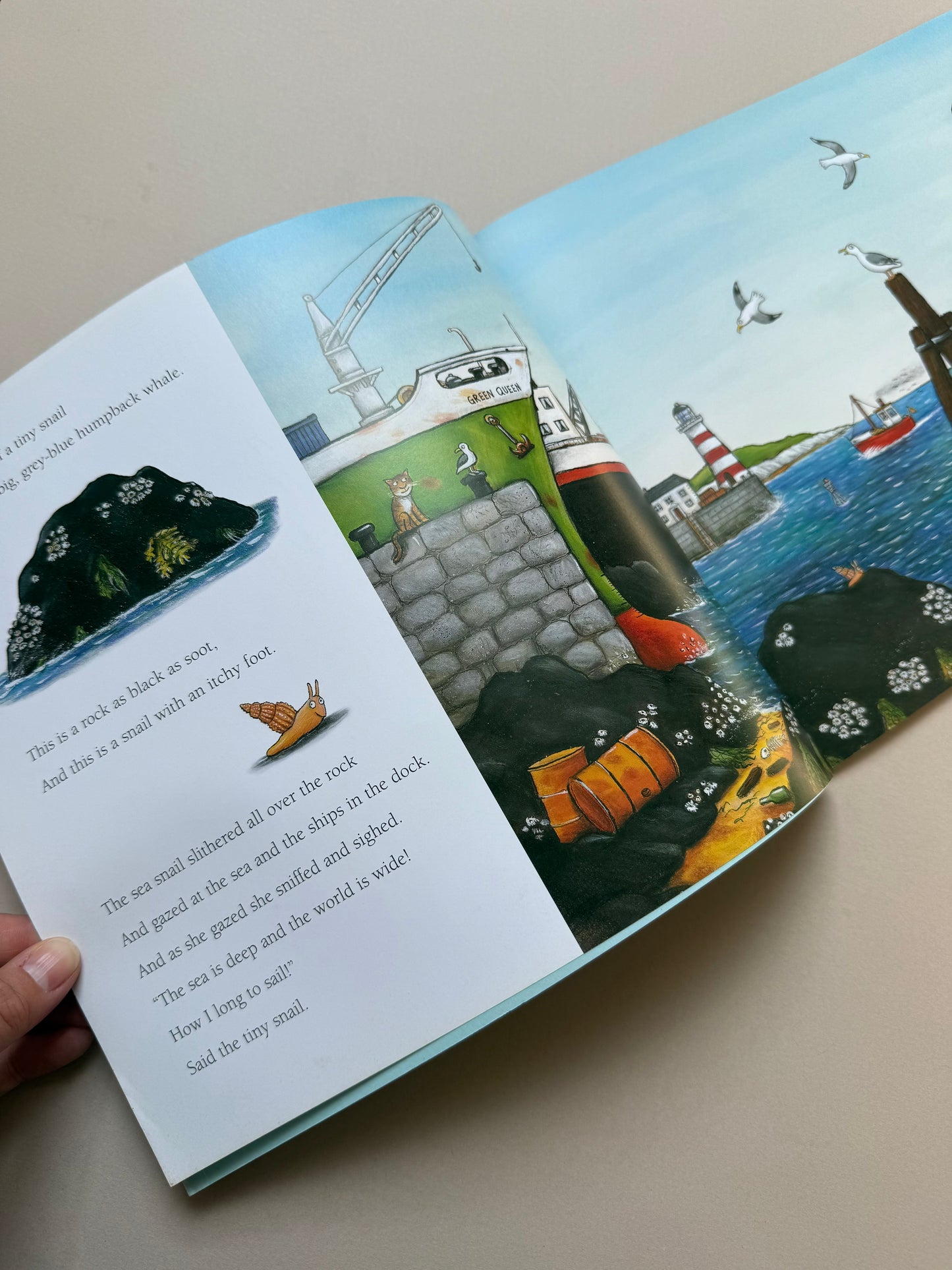 The Snail & The Whale Paperback Book By Julia Donaldson