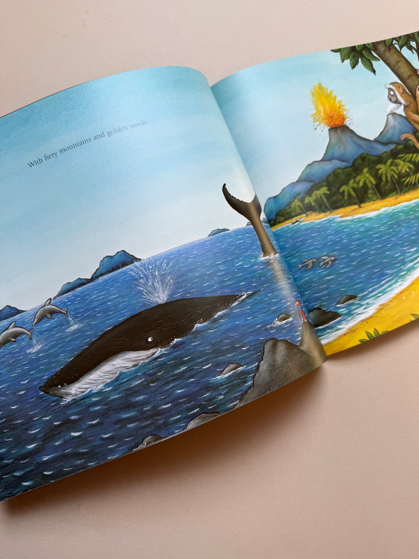 The Snail & The Whale Paperback Book By Julia Donaldson