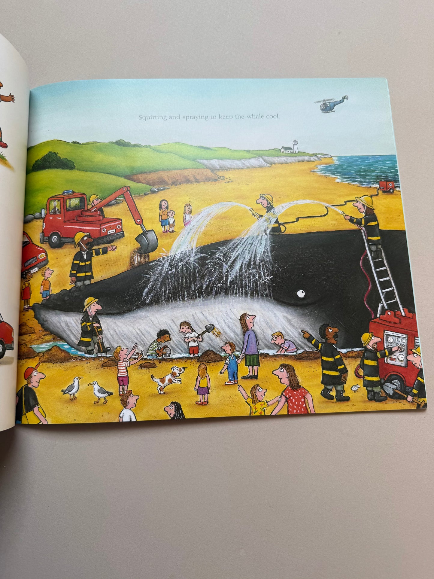 The Snail & The Whale Paperback Book By Julia Donaldson