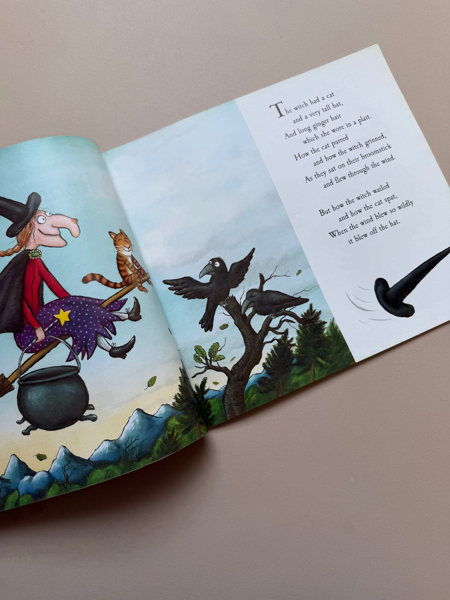 Room on the Broom Paperback Book By Julia Donaldson