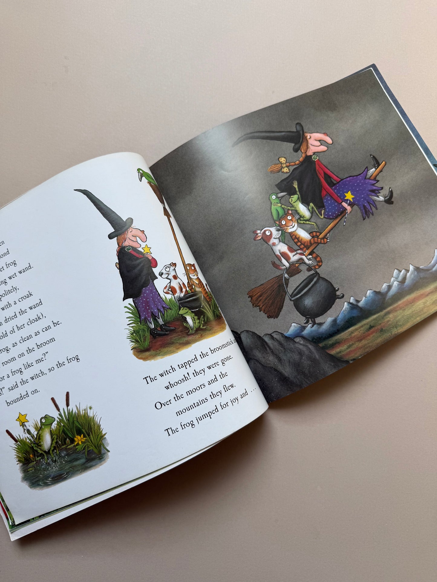 Room on the Broom Paperback Book By Julia Donaldson