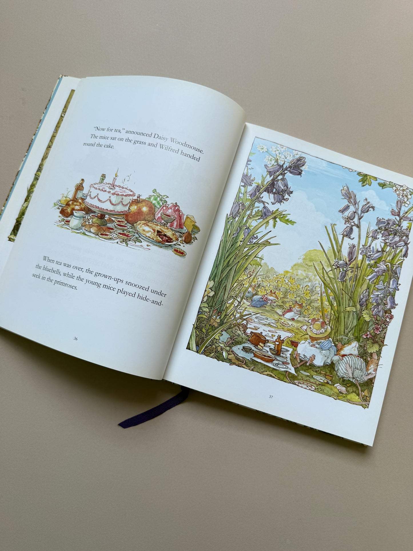 The Complete Brambly Hedge Collection By Jill Barklem Hardback Book