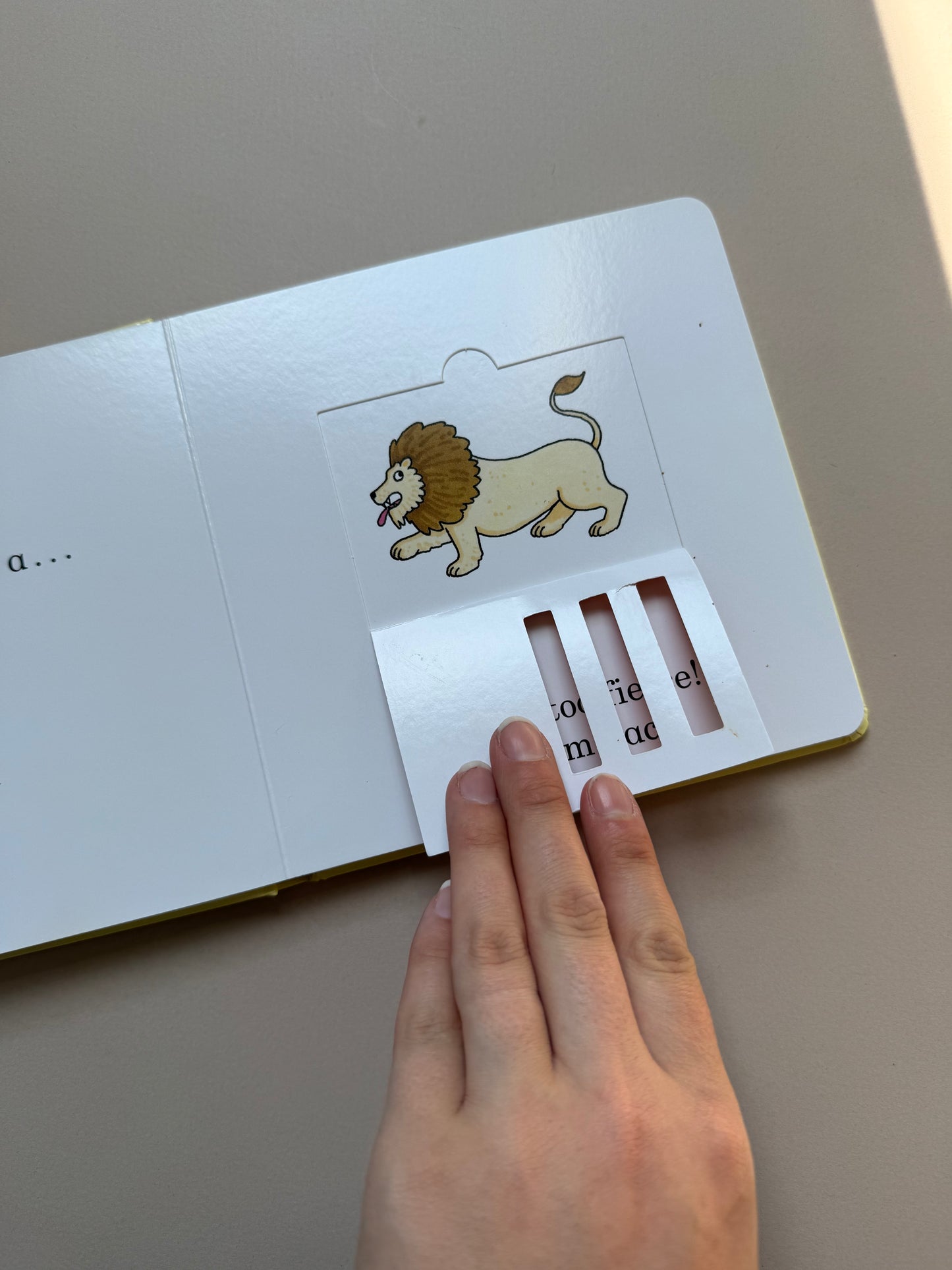 Dear Zoo Lift the Flap Boardbook By Rod Campbell