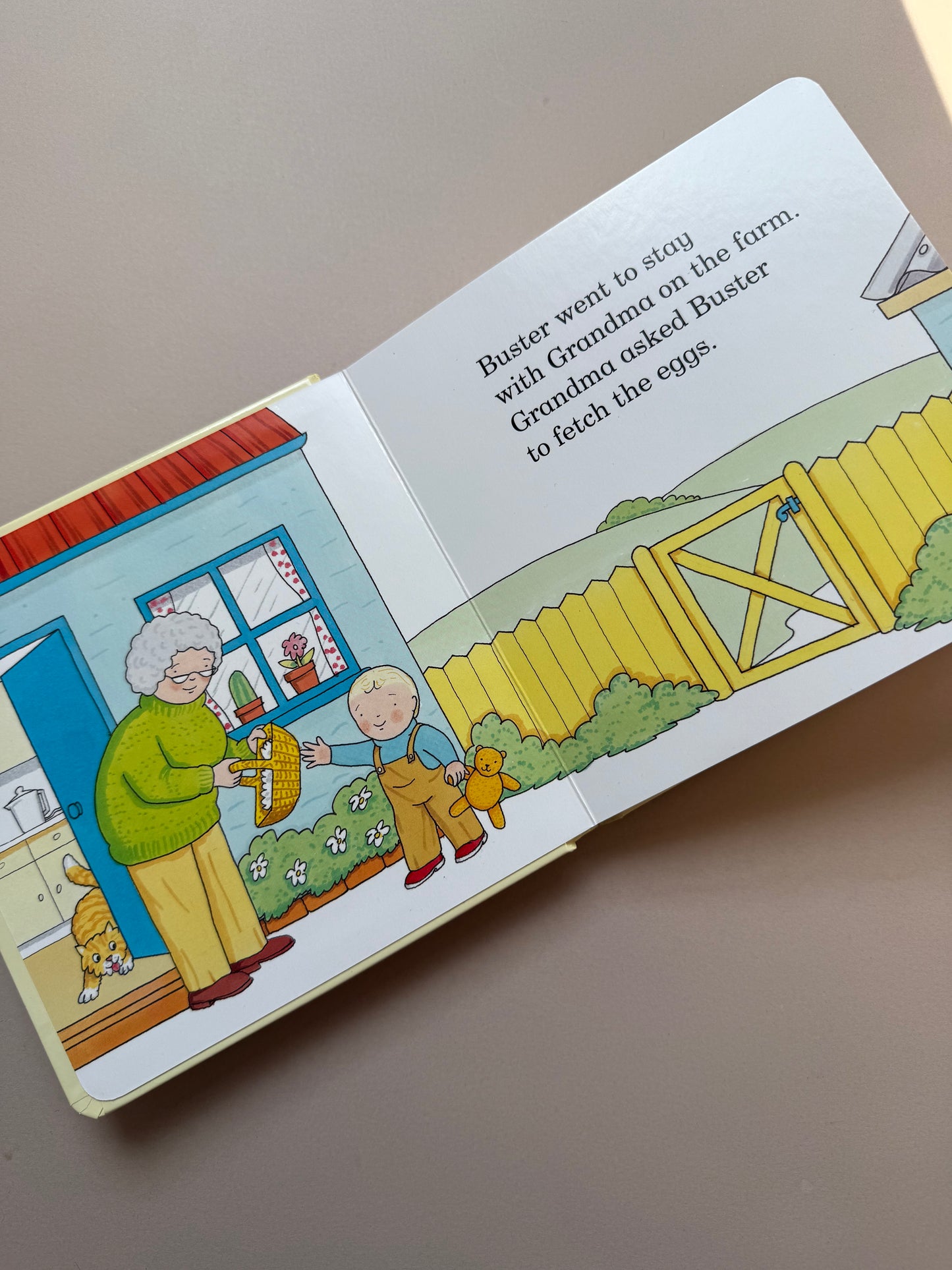 Oh Dear! Lift the Flap Board Book By Rod Campbell