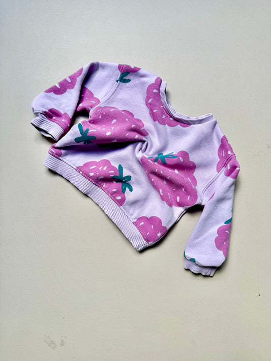 Zara Raspberry Printed Sweat Top in 9-12 Months