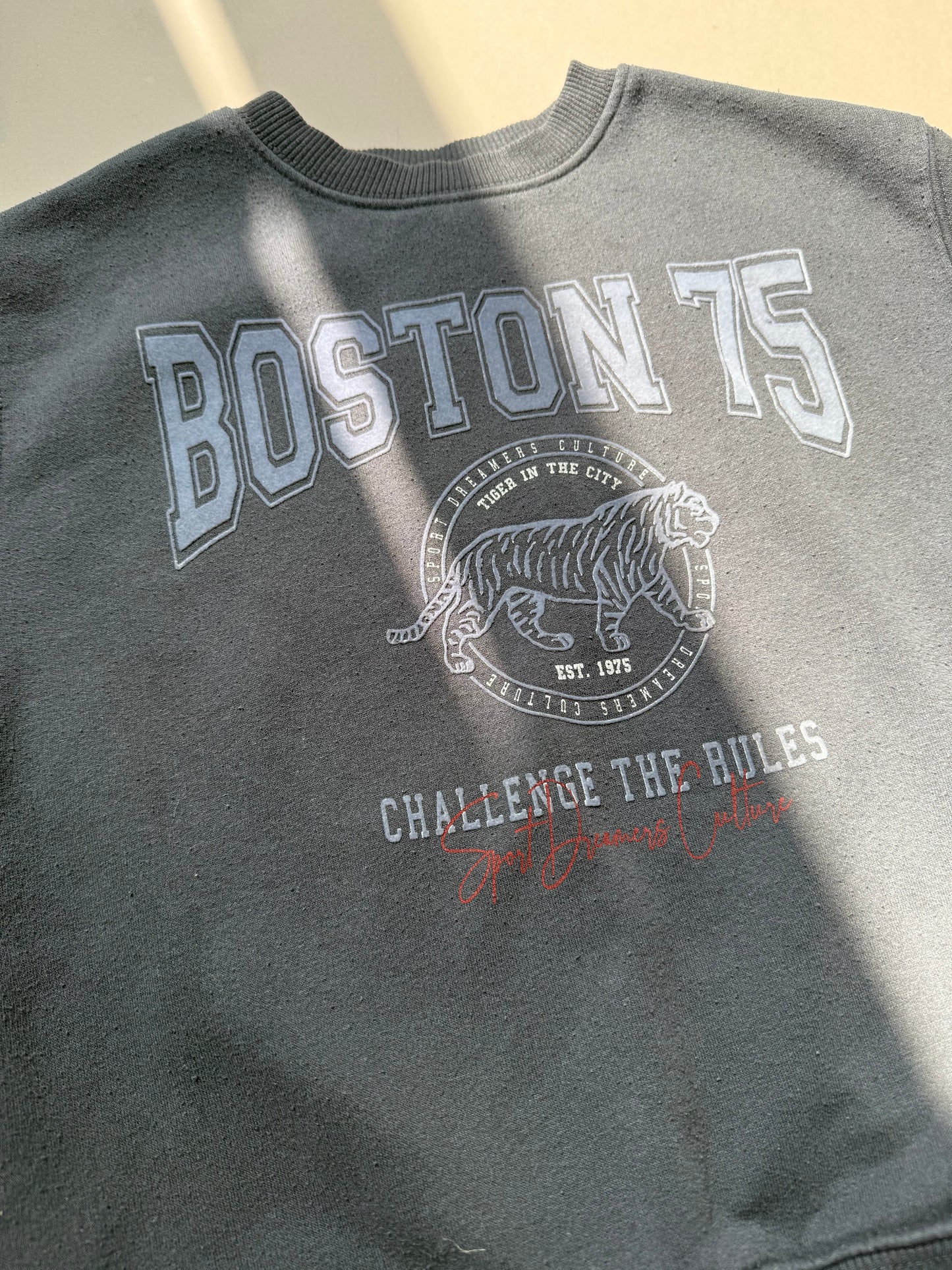 Zara Boston Sweat Top in 7 Years