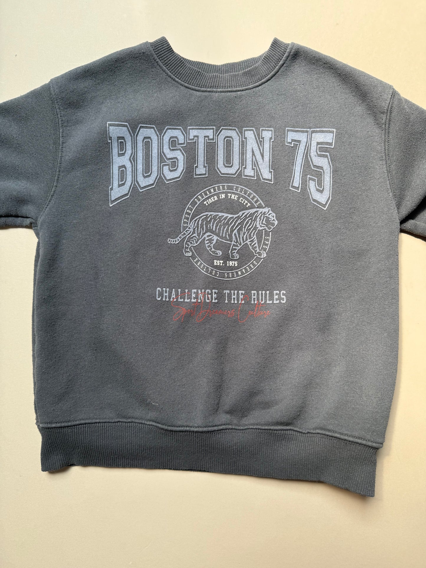 Zara Boston Sweat Top in 7 Years