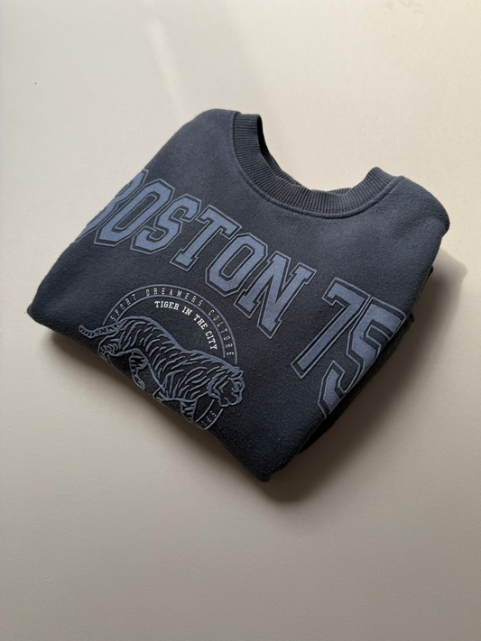 Zara Boston Sweat Top in 7 Years