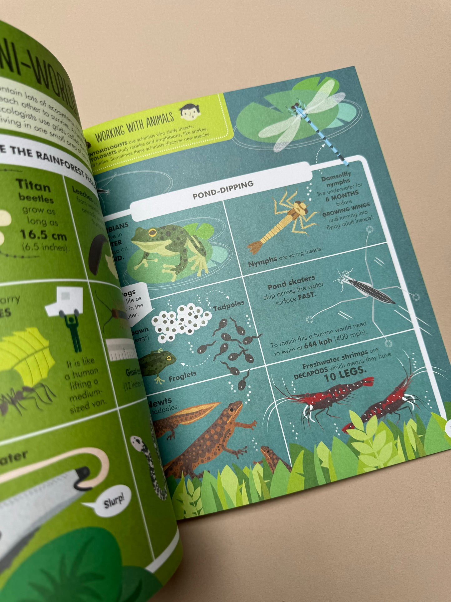Geographics: Animals Paperback